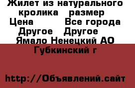 Жилет из натурального кролика,44размер › Цена ­ 500 - Все города Другое » Другое   . Ямало-Ненецкий АО,Губкинский г.